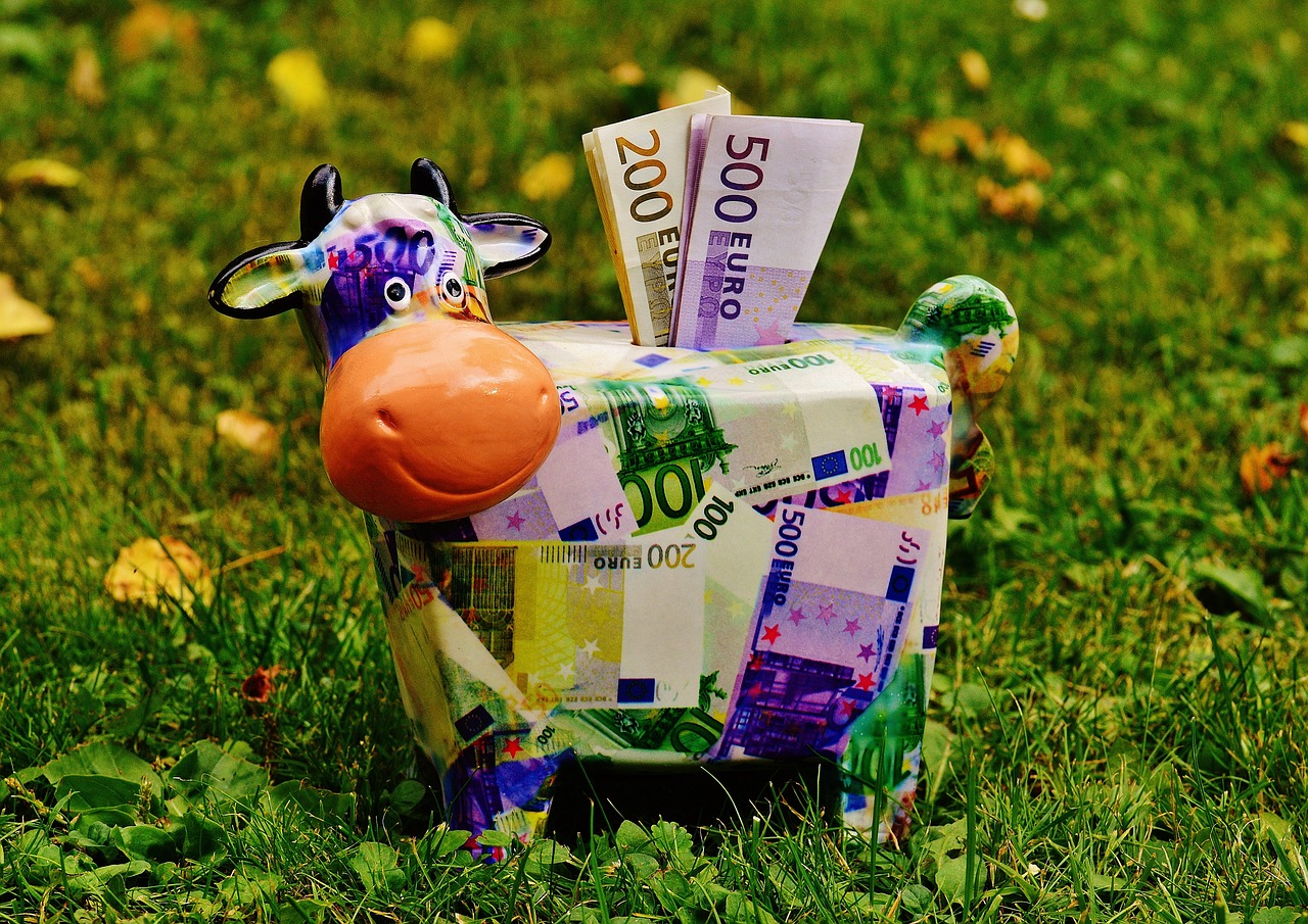 piggy bank, money, cow