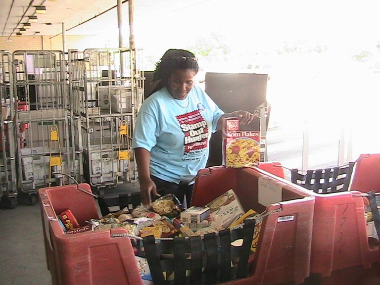 Inicia distribución de food stamps del SNAP en seis estados a partir de hoy