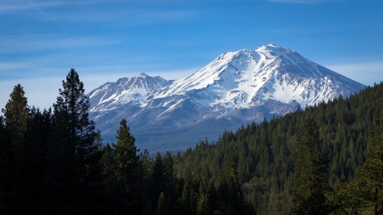 Rescatan a dos empleados de Bosques Nacionales en California tras 15 horas como rehenes