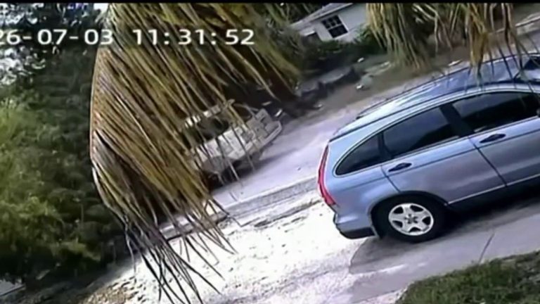 Rayo impacta un árbol en North Miami y cae sobre un vehículo en movimiento