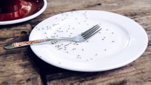 Chef con estrella Michelin enfrenta cárcel en Corea por servir hormigas en sus platos