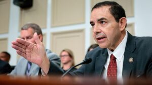 Henry Cuellar advierte que socialistas buscan usar al Partido Demócrata para impulsar agenda radical