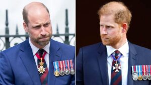 Conflicto entre Príncipes William y Harry se intensifica tras disputa por seguridad