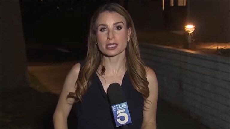 Reportera de Los Ángeles mantiene la calma pese a que cucaracha se pasea en vivo durante informe