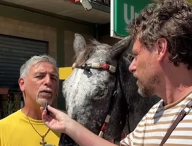 Un italiano cambia el coche por su yegua para ahorrar ante la subida del combustible