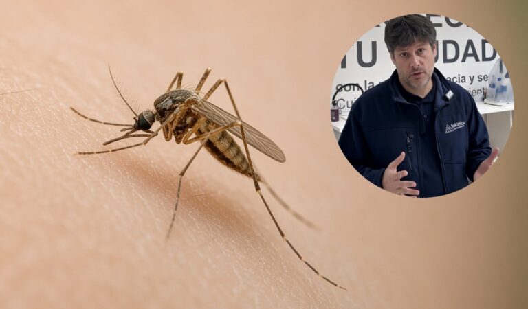 Los mosquitos no buscan tu sangre, sino tu olor según experto entomólogo