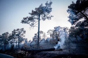 Cortan 29 carreteras en España por incendios forestales mientras disminuyen recursos antifuegos