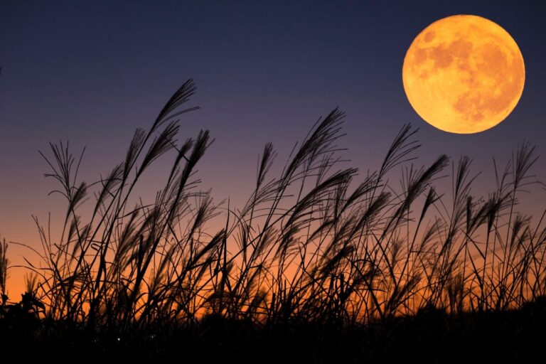 España se prepara para observar un eclipse lunar parcial el 28 de agosto