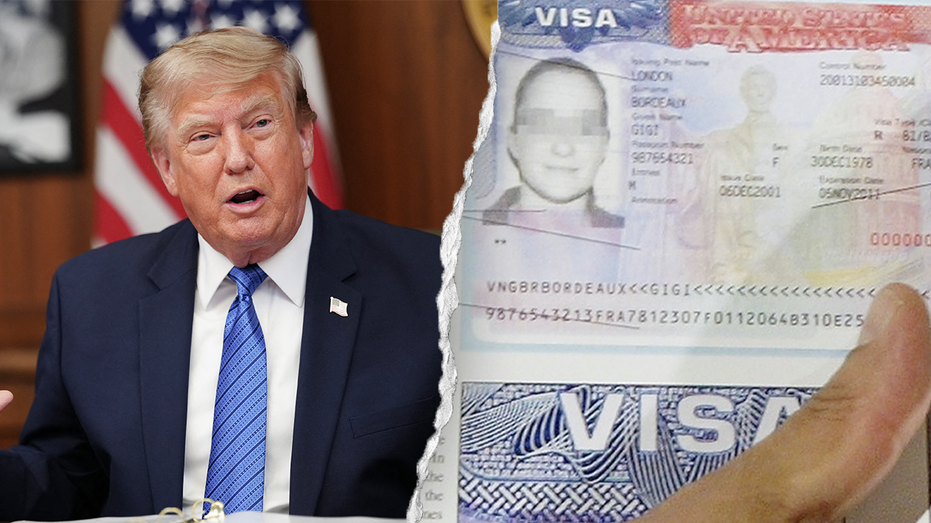 Demanda contra límites en visas de estudiantes y periodistas extranjeros en EE.UU.