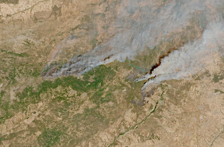 Incendios en Madrid y Ávila se fusionan tras arrasar 50,000 hectáreas en España
