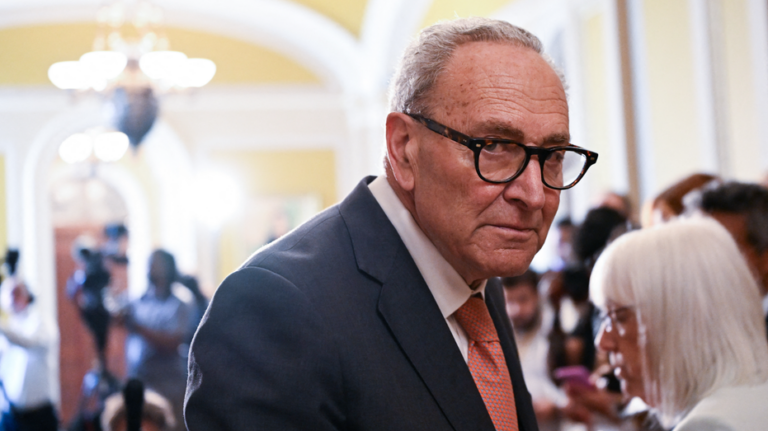 Triunfos clave de la izquierda progresista en primarias demócratas mientras Schumer enfrenta reveses y Trump vive resultados mixtos