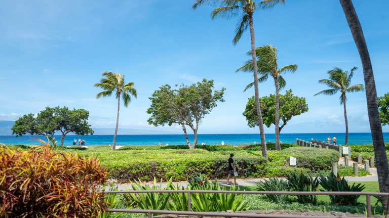 Familia de California denuncia ataque violento en resort de lujo en Maui