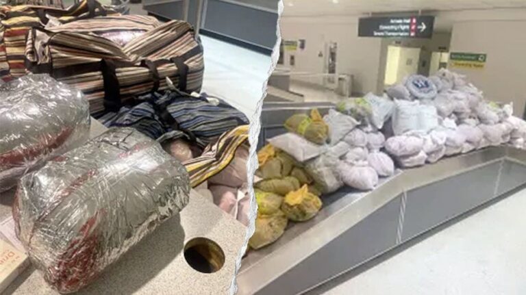 Incautan casi 850 libras de khat en equipajes de vuelo procedente de Londres en aeropuerto de Maryland