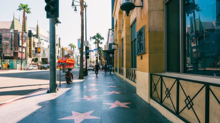 El declive del glamour en el Paseo de la Fama de Hollywood y sus nuevos homenajeados