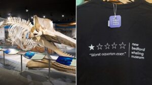Museo de Ballenas en Massachusetts multiplica ventas tras polémica reseña negativa