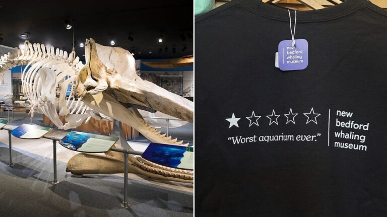 Museo de Ballenas en Massachusetts multiplica ventas tras polémica reseña negativa