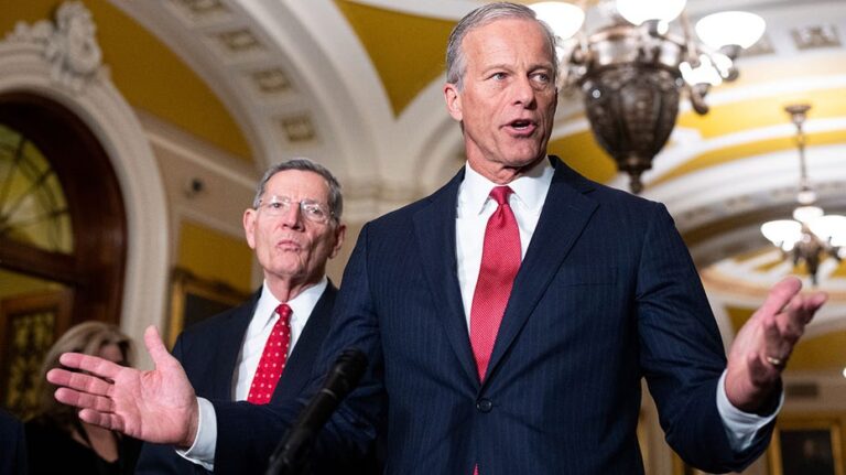 Grupos republicanos liderados por John Thune recaudan más de 500 millones para defender el Senado en 2026