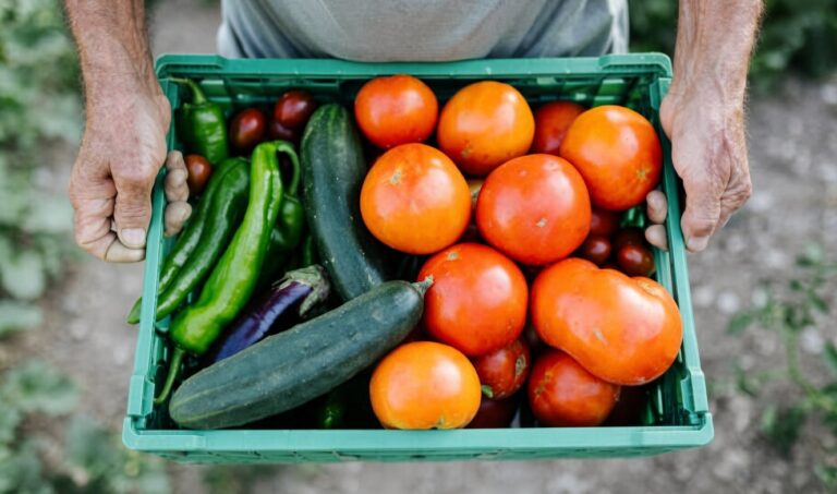 España aumenta a casi 1.000 millones de euros sus importaciones agrícolas desde Marruecos en 2026