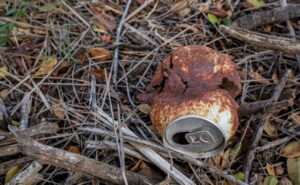Hallan en República Checa un tesoro de casi 600 monedas de oro en una vieja lata oxidada