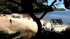 Misteriosa muerte de dos canoístas tras excursión nocturna en la bahía de Tomales, California
