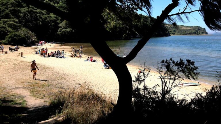 Misteriosa muerte de dos canoístas tras excursión nocturna en la bahía de Tomales, California