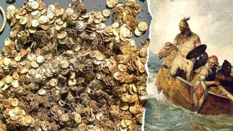 Hallan en Finlandia el mayor tesoro vikingo con más de 4,000 monedas de plata