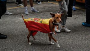 El significado psicológico de ponerle a tu perro un collar con la bandera nacional