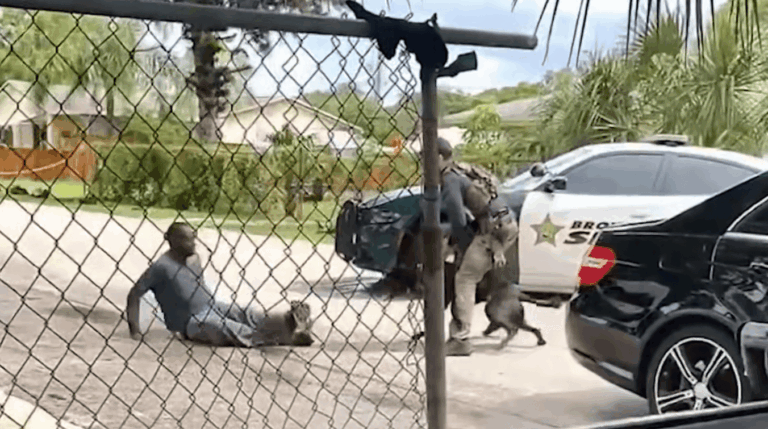 Familia cuestiona arresto con perro policía a hombre con problemas mentales en Pompano Beach