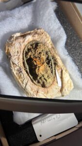 Descubren en Dinamarca ropa vikinga de 1.300 años excepcionalmente conservada