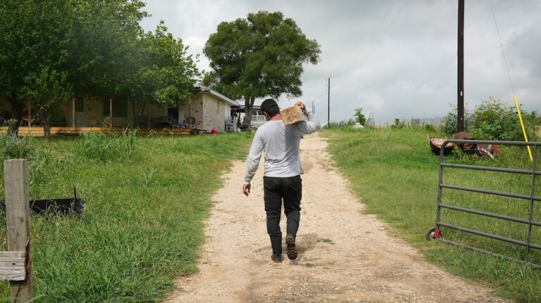 Enfermedad renal misteriosa afecta a jóvenes trabajadores en Texas