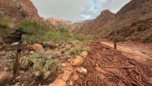 Inundaciones en el Gran Cañón dejan un muerto y alteran el suministro de agua en el parque