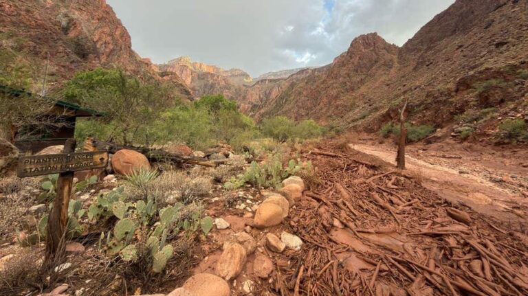 Inundaciones en el Gran Cañón dejan un muerto y alteran el suministro de agua en el parque