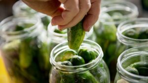 La obsesión por el sabor a pepinillo se expande en Estados Unidos
