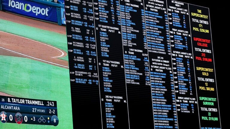 Apuestas deportivas legales en Carolina del Norte desde marzo de 2024